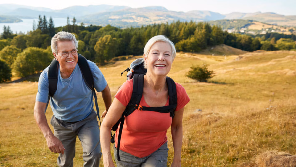 hip replacement 2